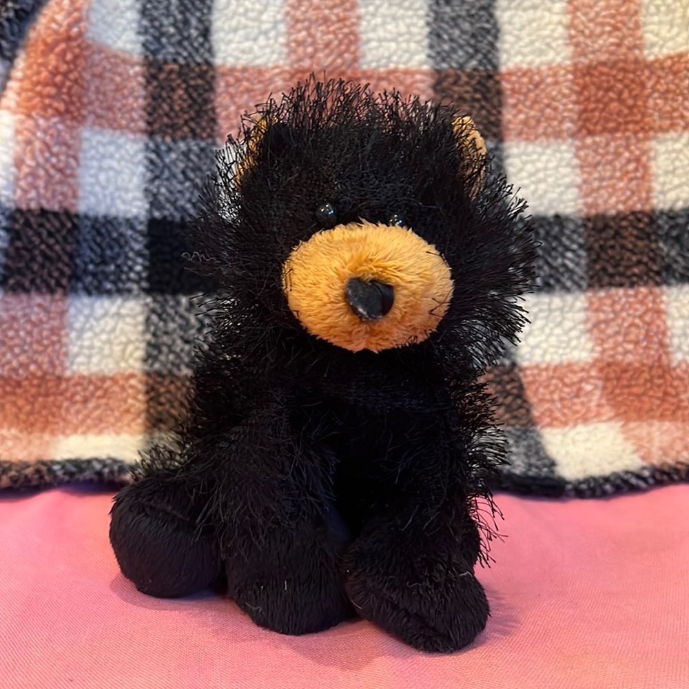 Webkinz Black Bear